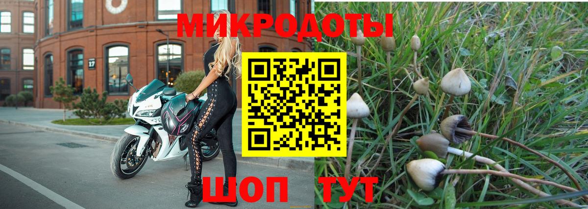 цена наркотик  Псилоцибиновые грибы ЛСД  Вход с VPN  Глазов 
