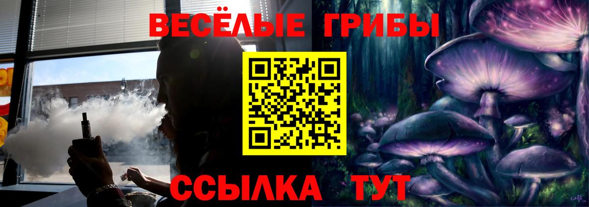 Псилоцибиновые грибы Psilocybe Глазов